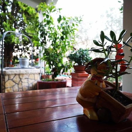 Casa Vacanze Sonia Lejlighed Amelia Eksteriør billede