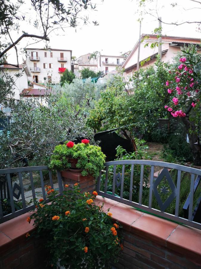 Casa Vacanze Sonia Lejlighed Amelia Eksteriør billede